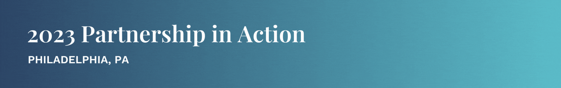 Copy of 2023 Partnership in Action (1900 × 300 px) copy (1)